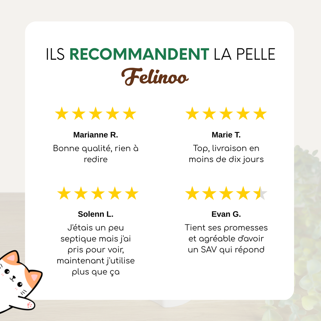 Pelle à litière avec réservoir Felinoo™ | Nettoyage propre et rapide